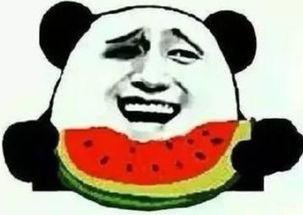 吃瓜群众对狗仔的评价,吃瓜群众的欢喜与争议