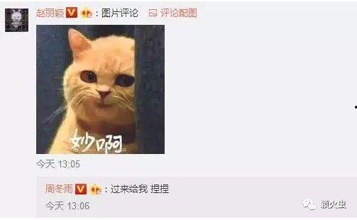 吃瓜群众被忽悠怎么回复,智慧反击指南