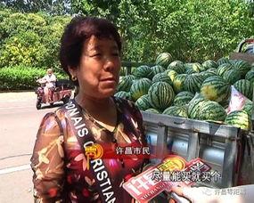 卡游许秋 吃瓜群众徒,吃瓜群众如何变身成为焦点人物