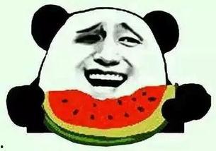 吃绿瓜的群众叫什么人,探寻吃绿瓜群众的独特生活